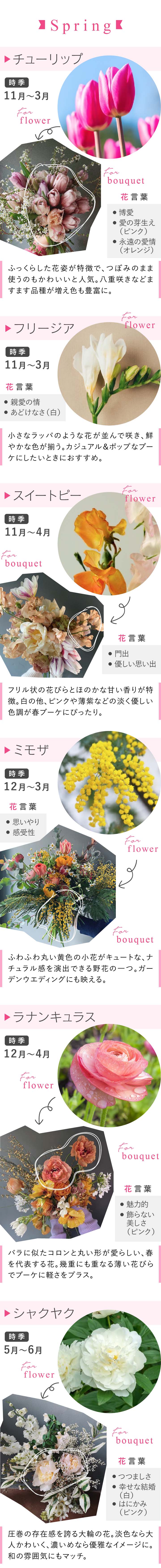 花材カレンダー　春
