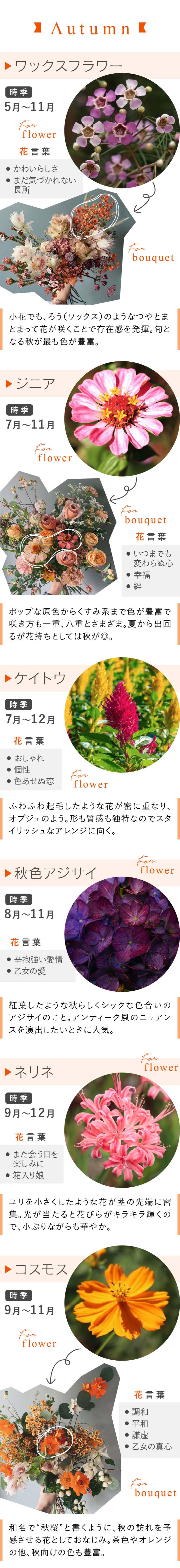 秋　花材カレンダー