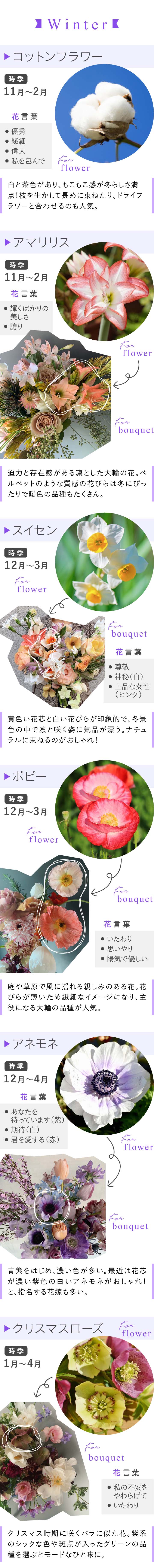 冬　花材カレンダー