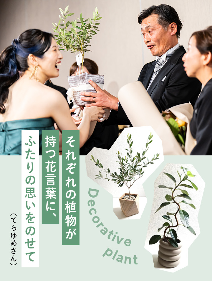 花言葉から選んだ観葉植物