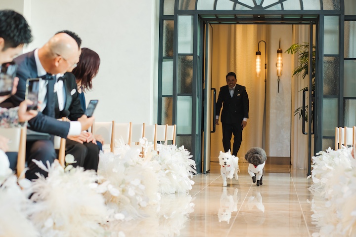 愛犬がリングドッグの写真