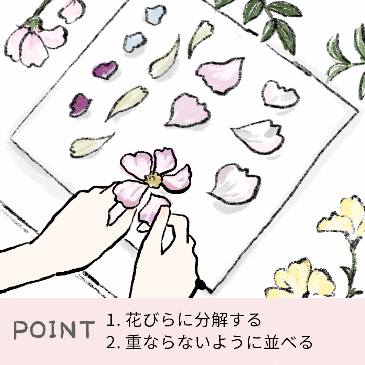 押し花のDIY方法