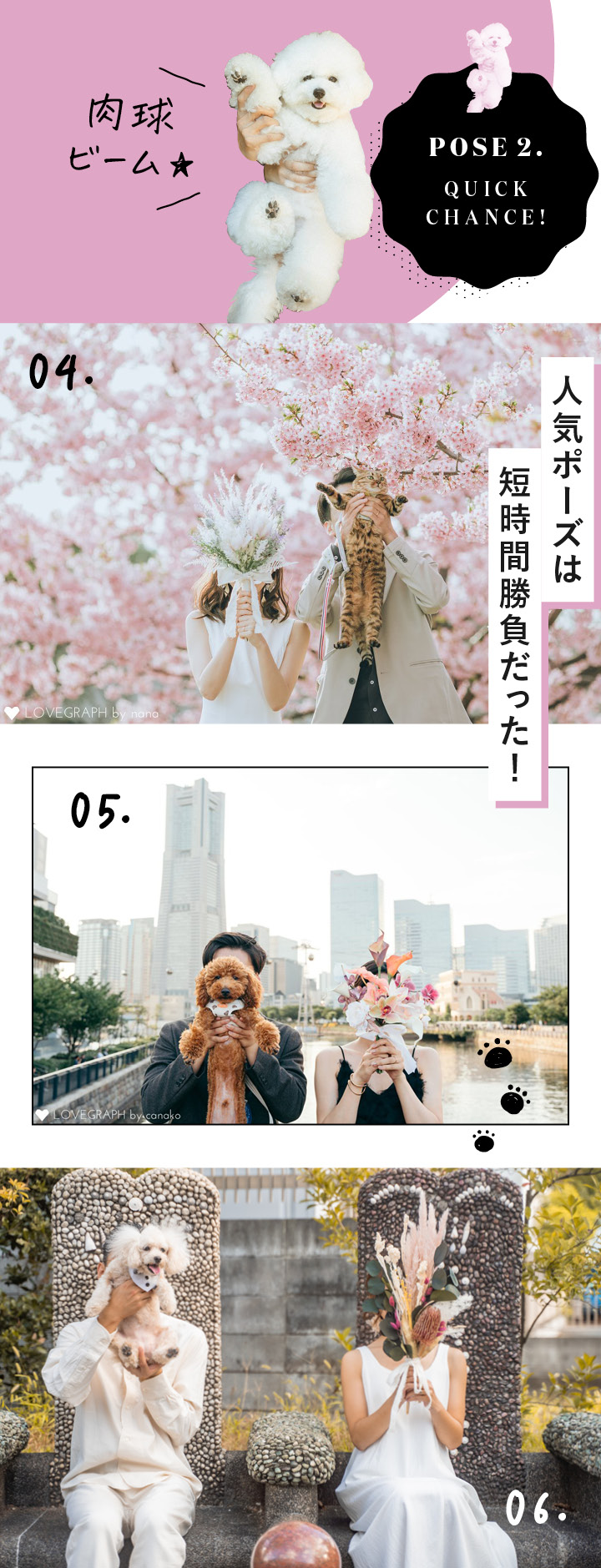 ペットと撮影する人気ポーズ