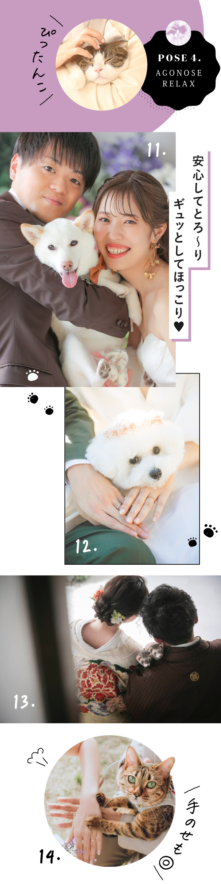飼い主にあごをあずけるペットの写真