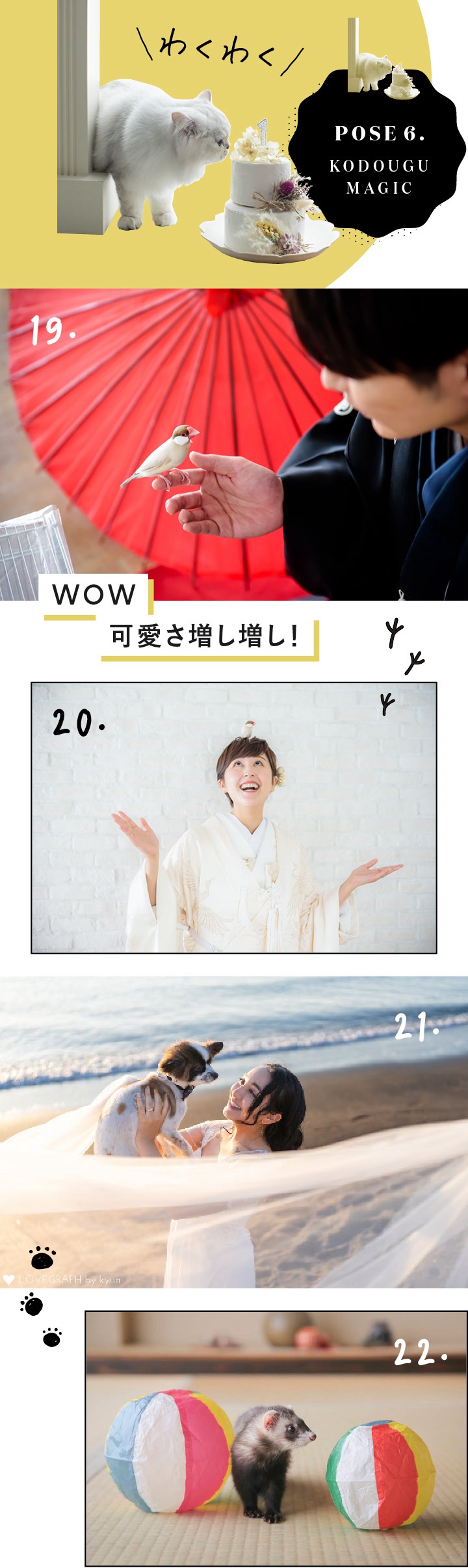 番傘と鳥などの写真