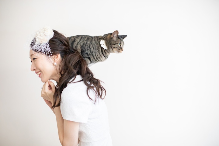 肩の上に乗る猫の写真