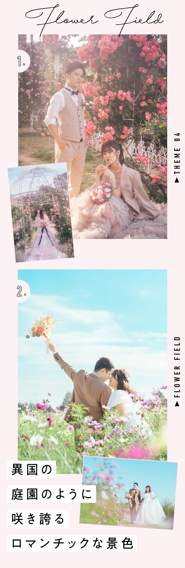 4:お花畑の中で