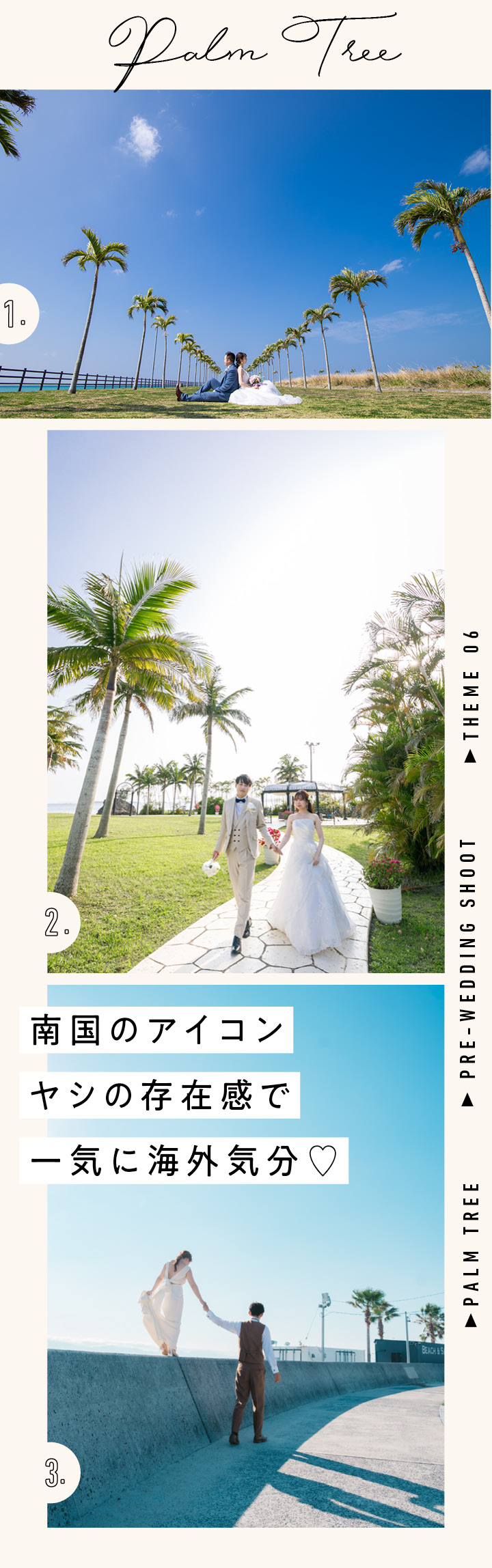 Scene6:ヤシの木を背景に