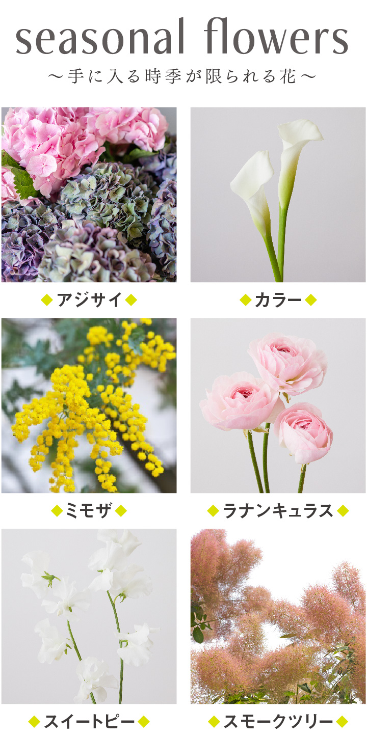 季節の花　お花見本帖　花言葉　種類、イラスト、花束
