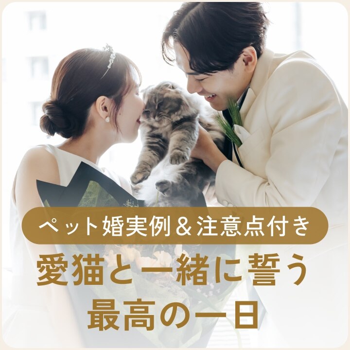 2607_title