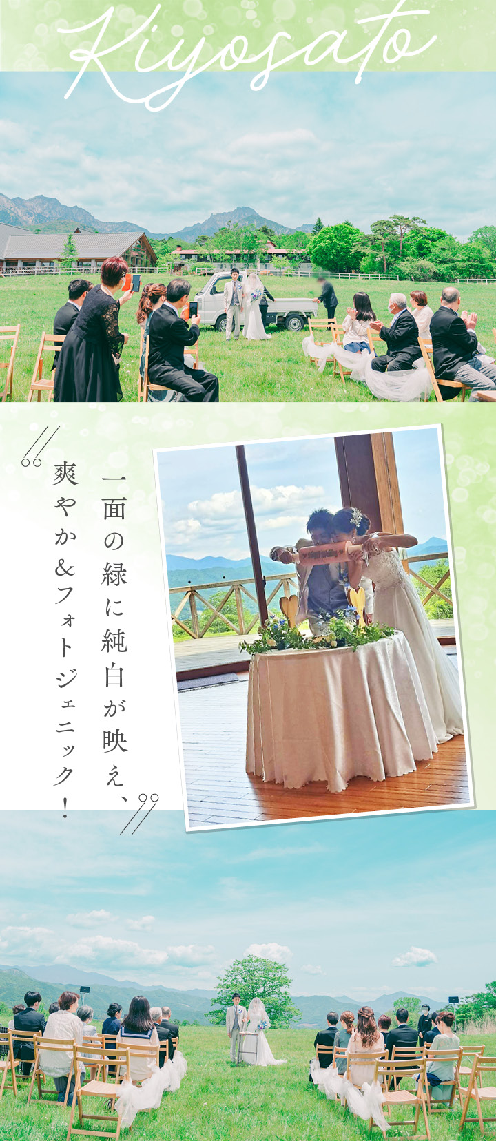 国内リゾート　清里　緑　花嫁実例