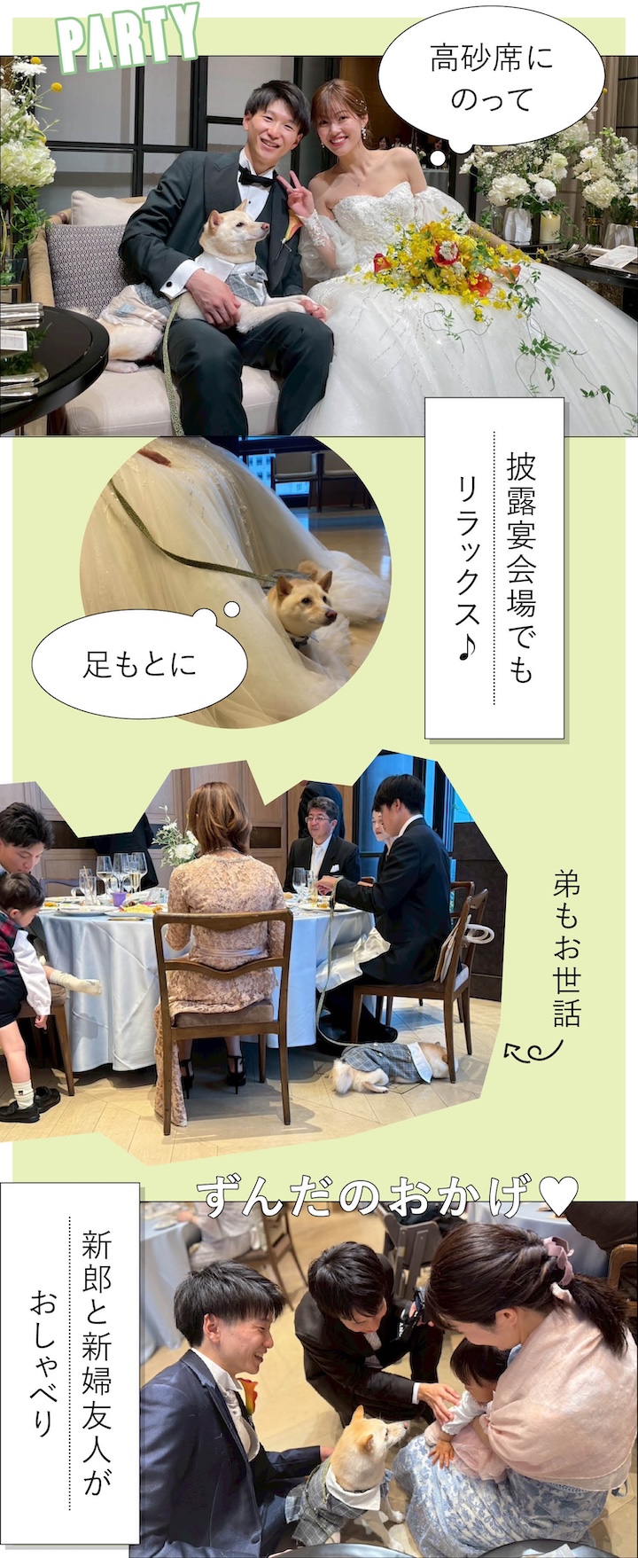 ペット婚の写真