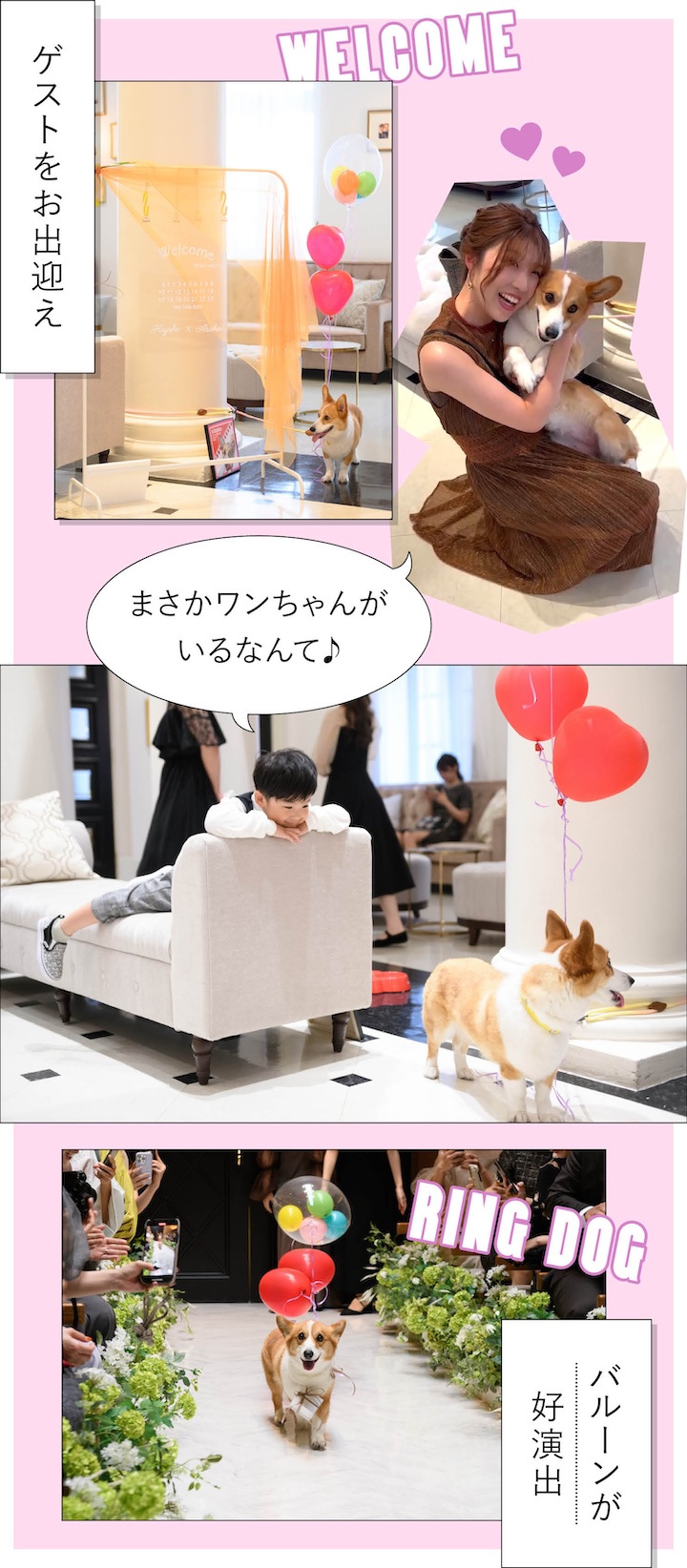 ペット婚の写真