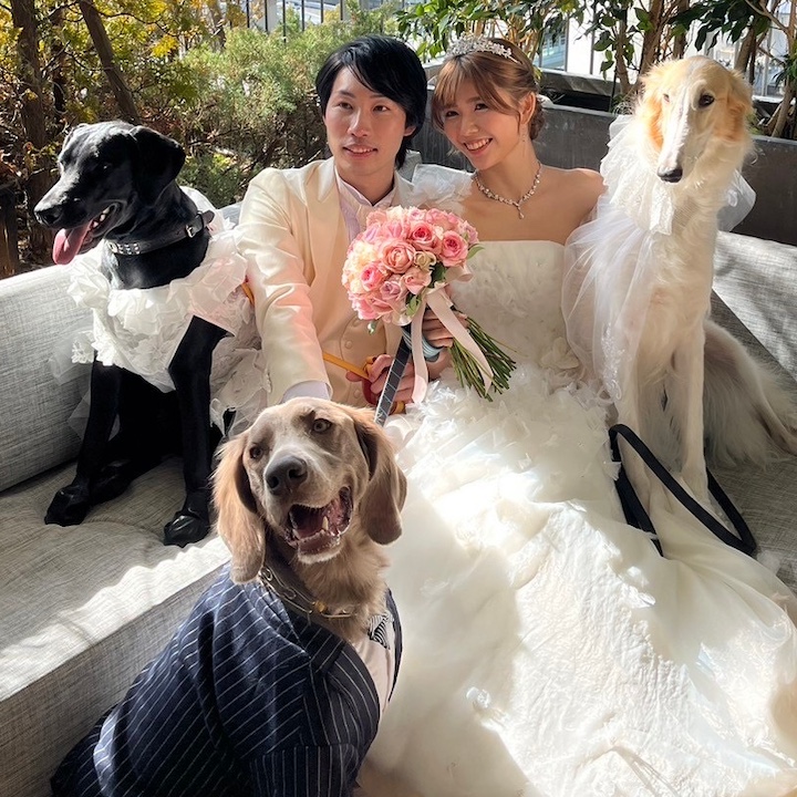 ３匹の大型犬と記念撮影するCoupleさんの写真