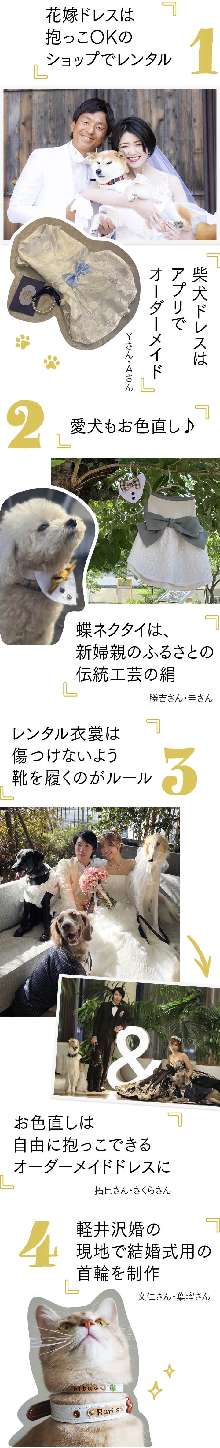 「花嫁ドレスはだっこOKのショップでレンタル」「愛犬もお色直し」などのコメントとかわいい実例写真がいろいろ