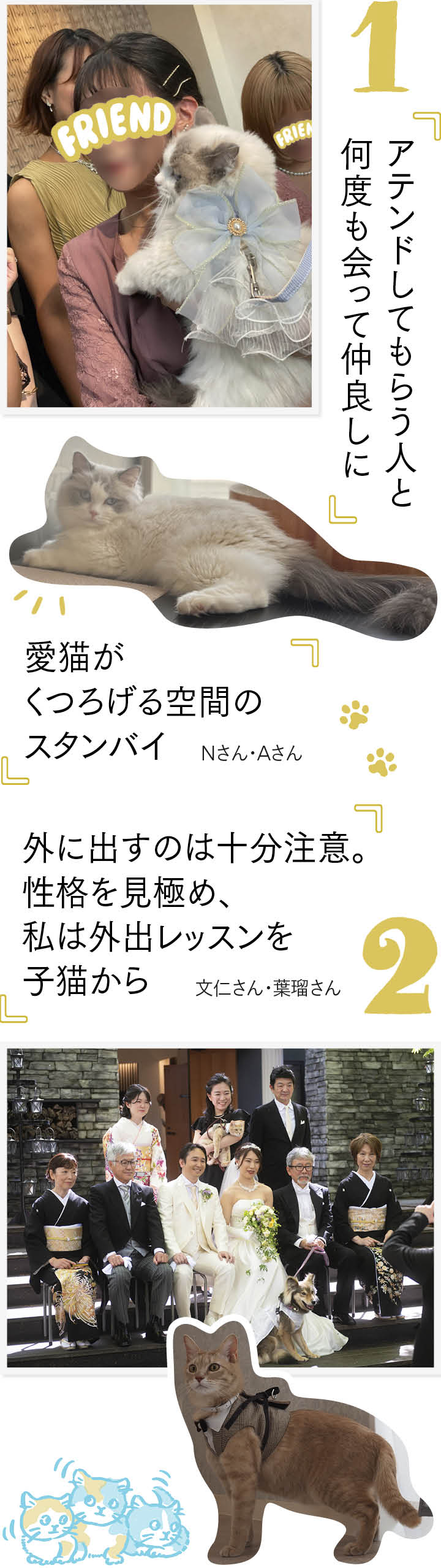 「アテンドしてもらう人と何度も会っておく」「愛猫がくつろげる空間のスタンバイ」「外に出すのは十分注意」などのコメントと愛猫婚の写真